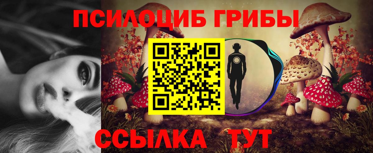 Псилоцибиновые грибы GOLDEN TEACHER Вольск