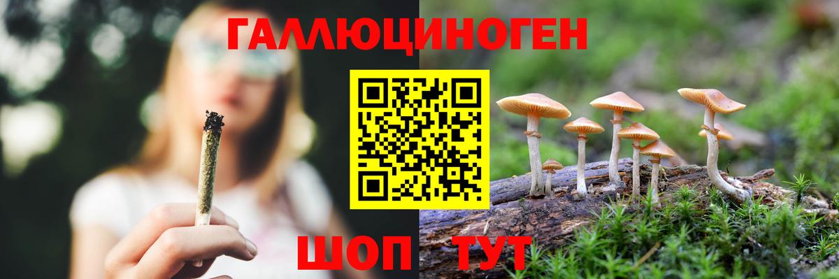 даркнет сайт  Псилоцибиновые грибы ЛСД  Вход с VPN  Вольск 